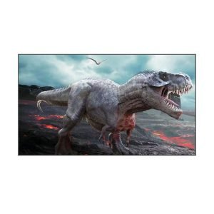 Hisense F100W Fresne l ALR Hard Fixed Frame Screen | ALR Screen | Home Theater Screen | Projector Screen | Cinema Screen