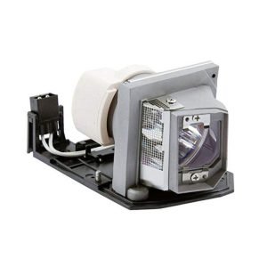 Optoma BL-FP230D Replacement Projector Lamp/Bulbs