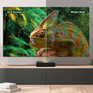 Hisense DLT100E ALR Fixed Frame Projector Screen